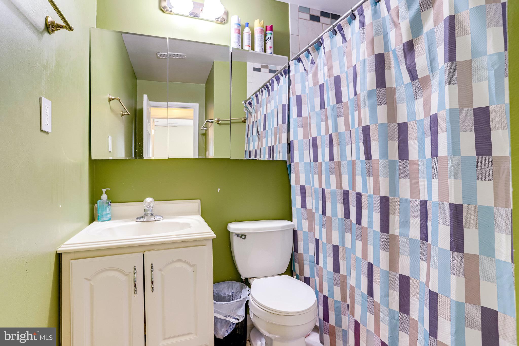 206 West Beech Road Sterling, VA 20164 - Photo 26 of 41 Bathroom 2