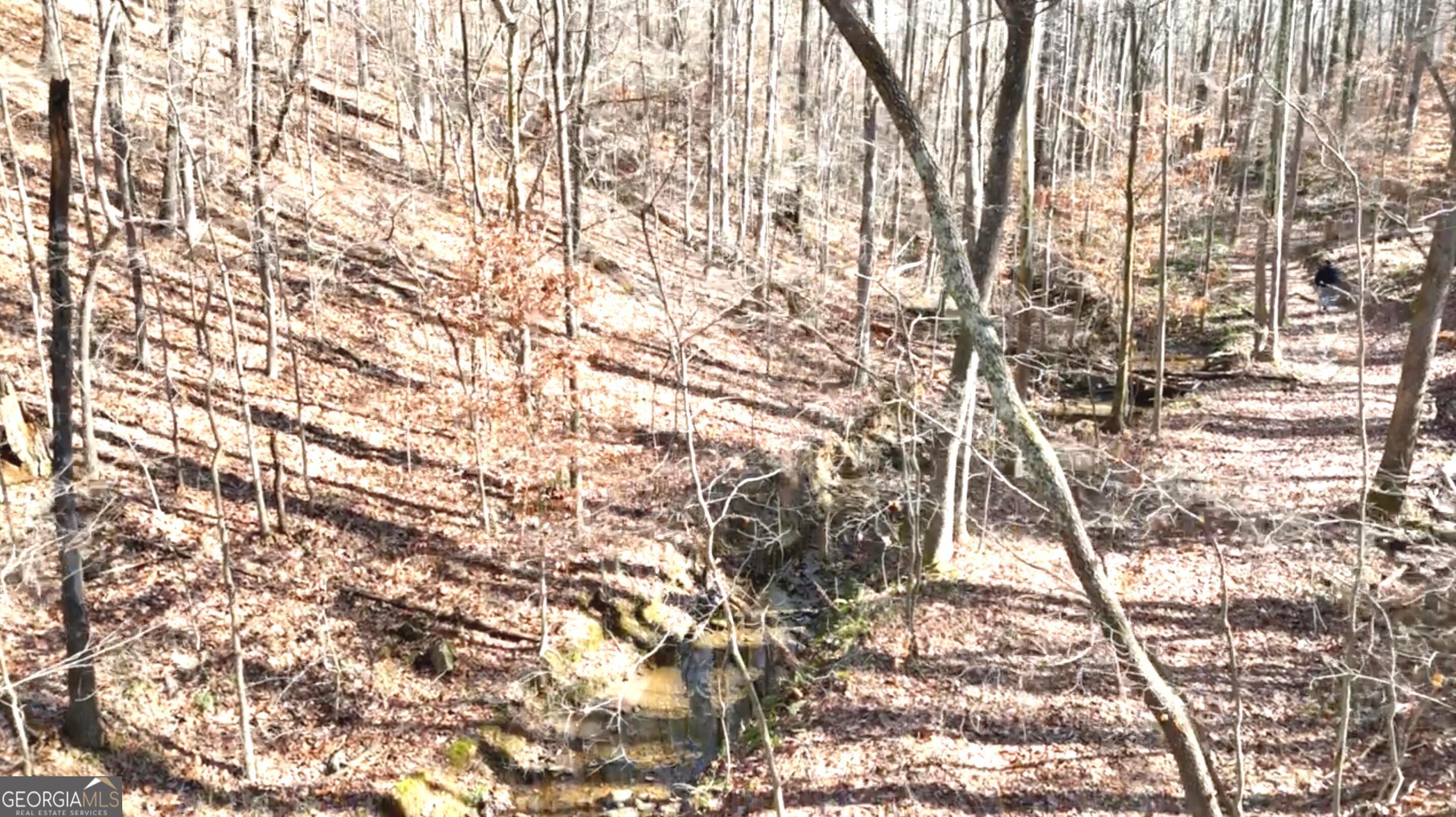 6147 Little Ridge Road, Unit LOT #2 Acworth, GA 30102 - Photo 11 of 29