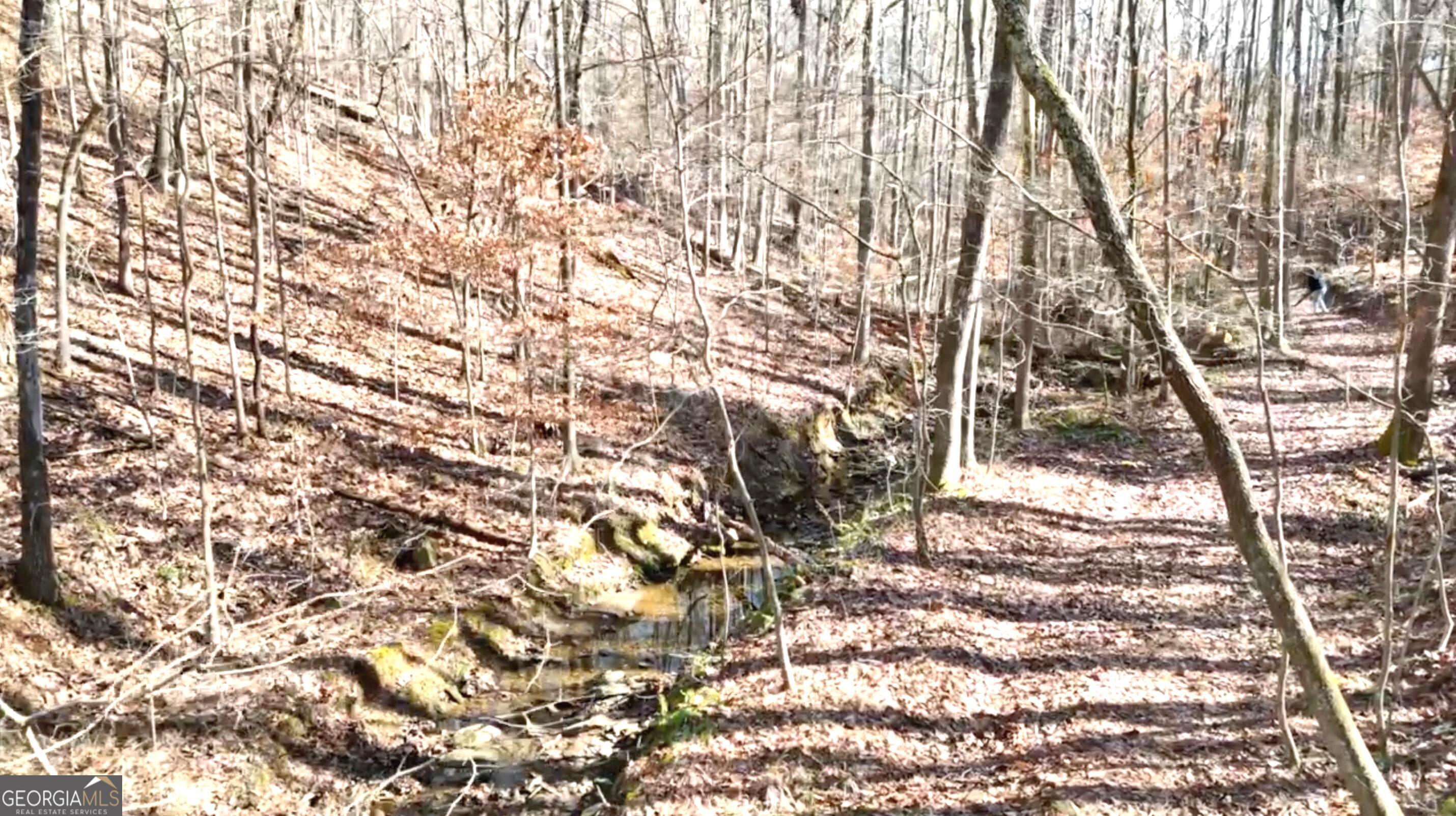 6147 Little Ridge Road, Unit LOT #2 Acworth, GA 30102 - Photo 12 of 29