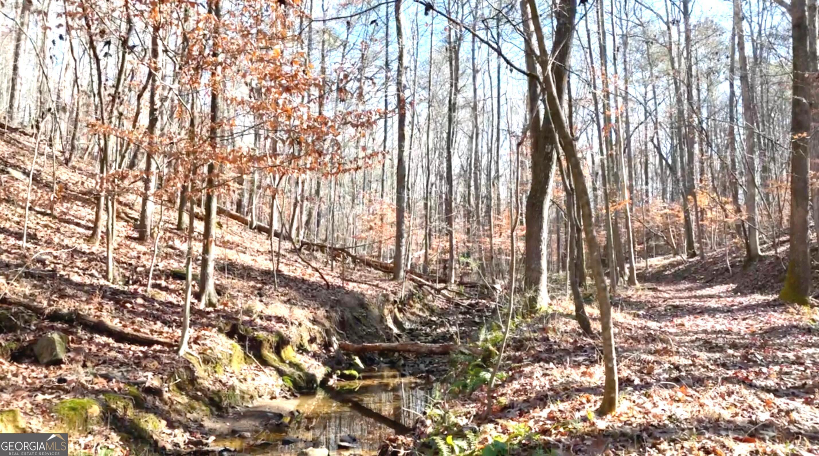 6147 Little Ridge Road, Unit LOT #2 Acworth, GA 30102 - Photo 13 of 29