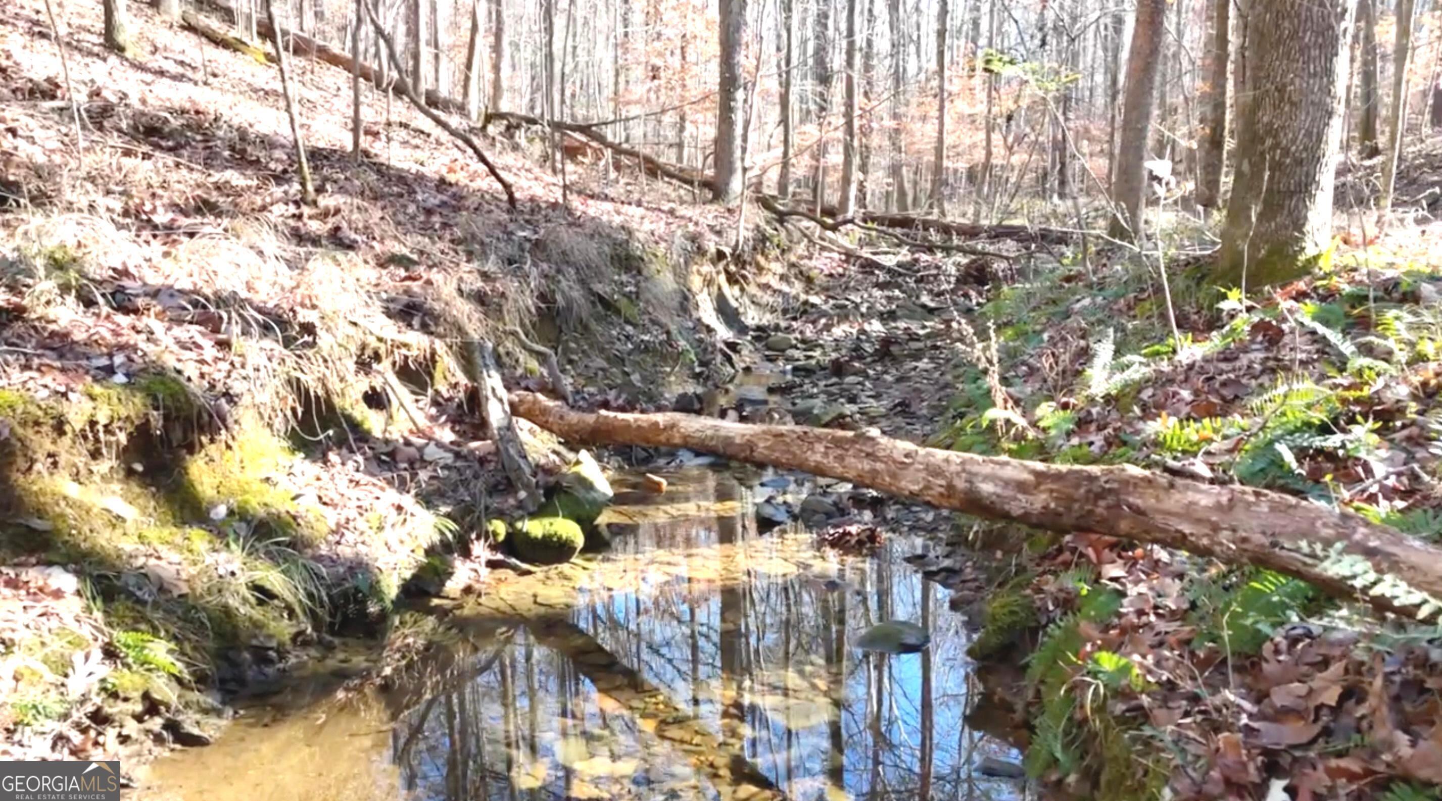 6147 Little Ridge Road, Unit LOT #2 Acworth, GA 30102 - Photo 14 of 29