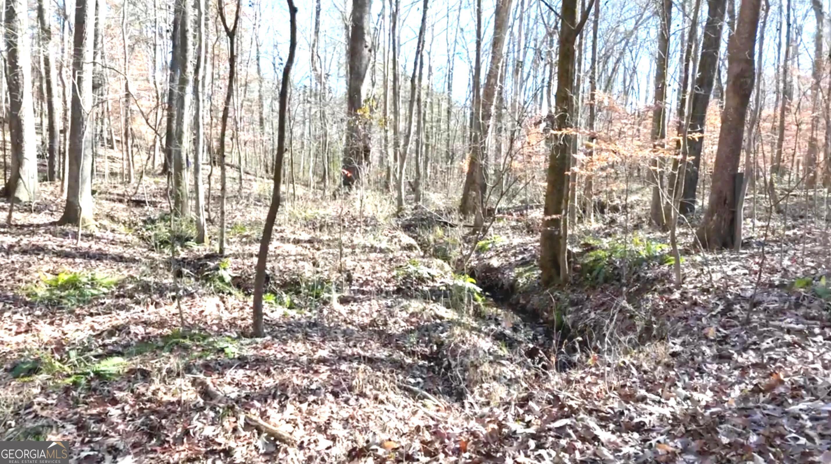 6147 Little Ridge Road, Unit LOT #2 Acworth, GA 30102 - Photo 15 of 29