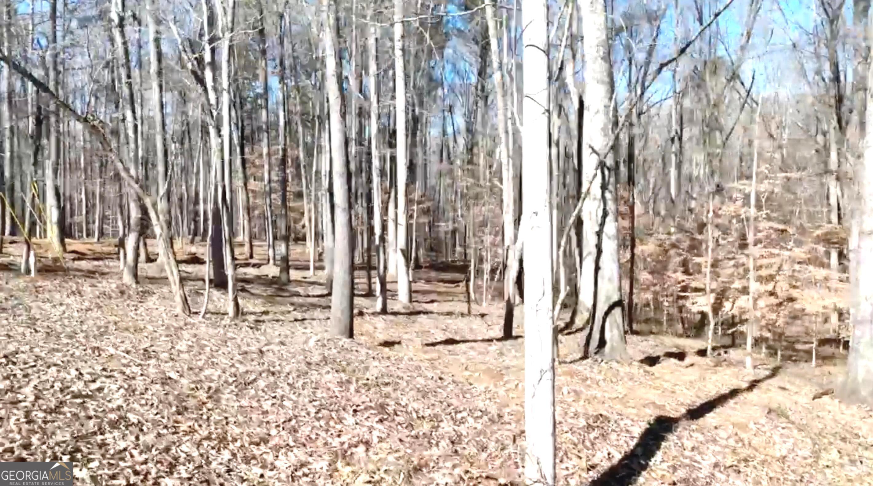 6147 Little Ridge Road, Unit LOT #2 Acworth, GA 30102 - Photo 28 of 29