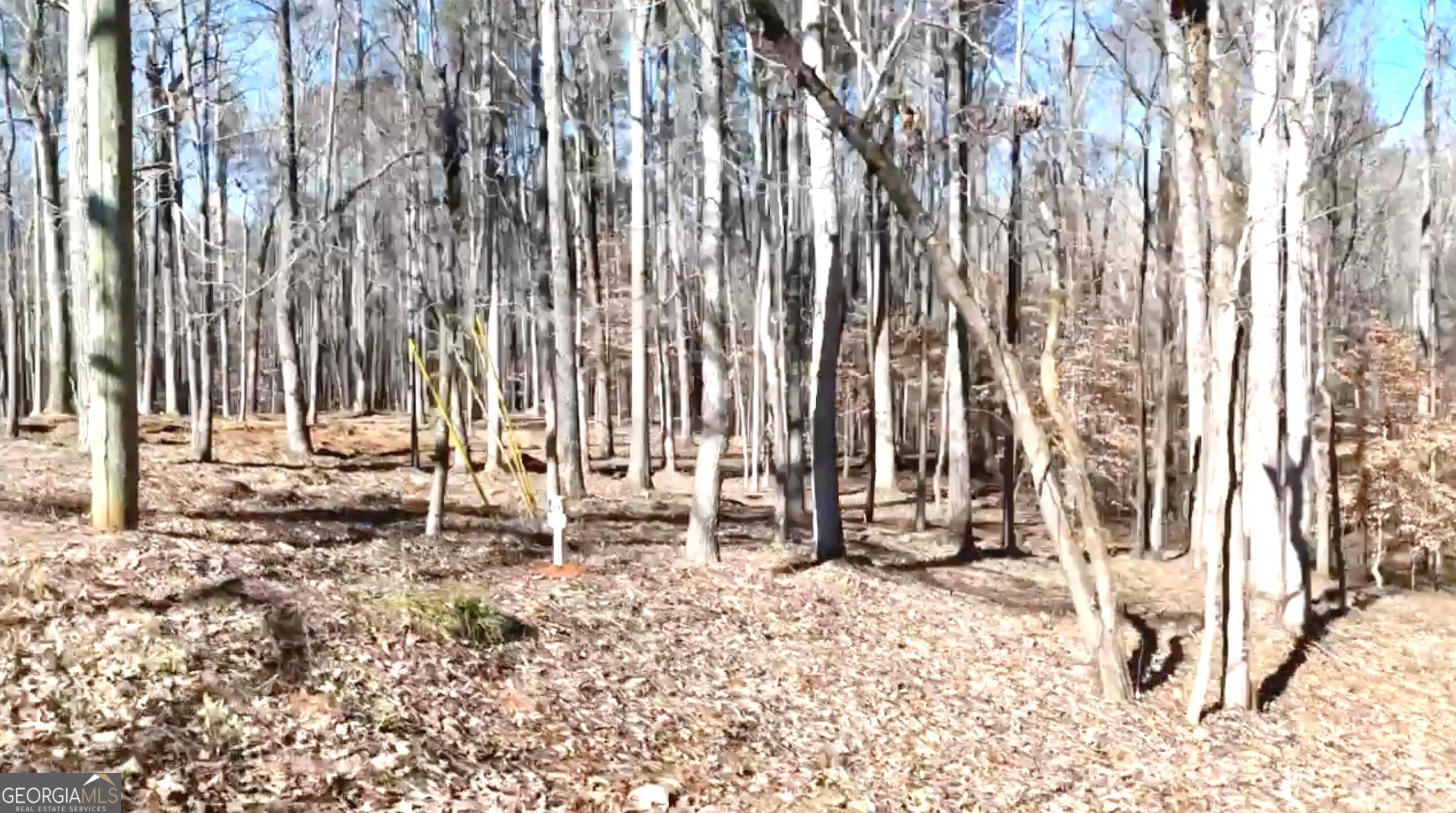 6147 Little Ridge Road, Unit LOT #2 Acworth, GA 30102 - Photo 29 of 29