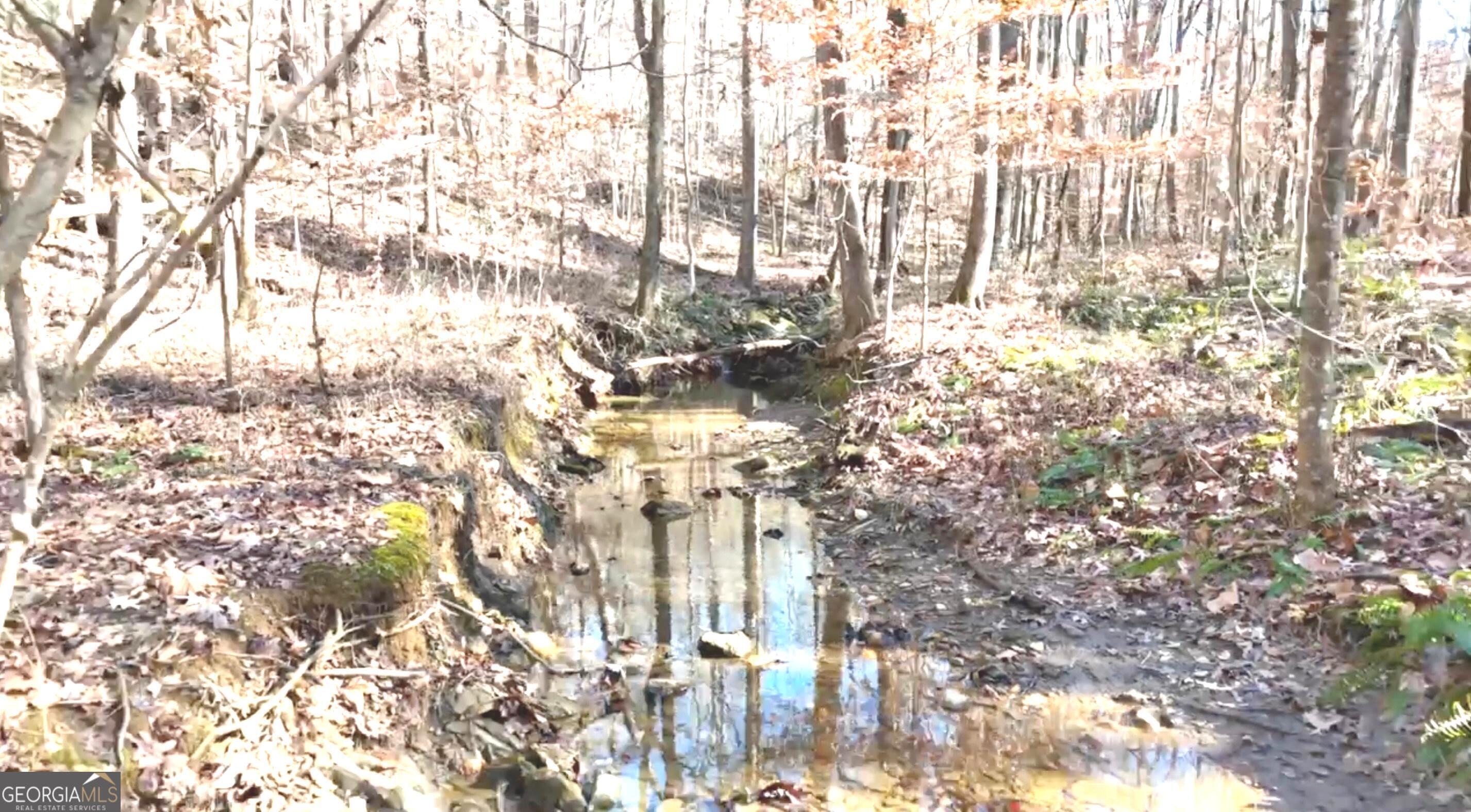 6147 Little Ridge Road, Unit LOT #2 Acworth, GA 30102 - Photo 5 of 29