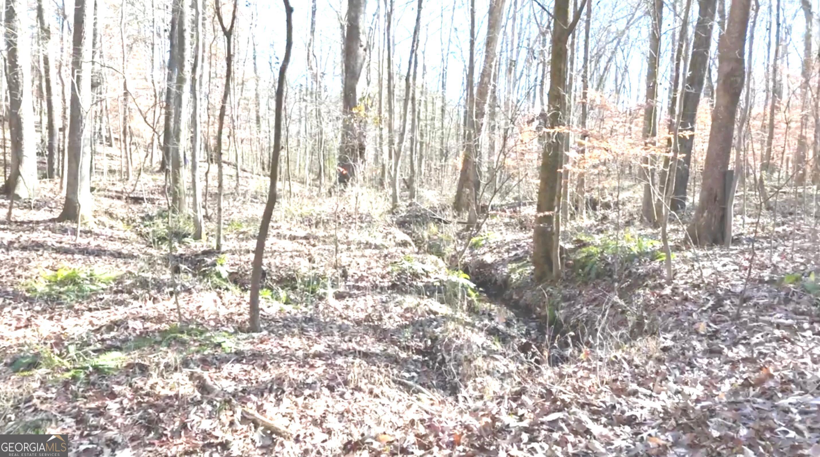 6147 Little Ridge Road, Unit LOT #2 Acworth, GA 30102 - Photo 6 of 29