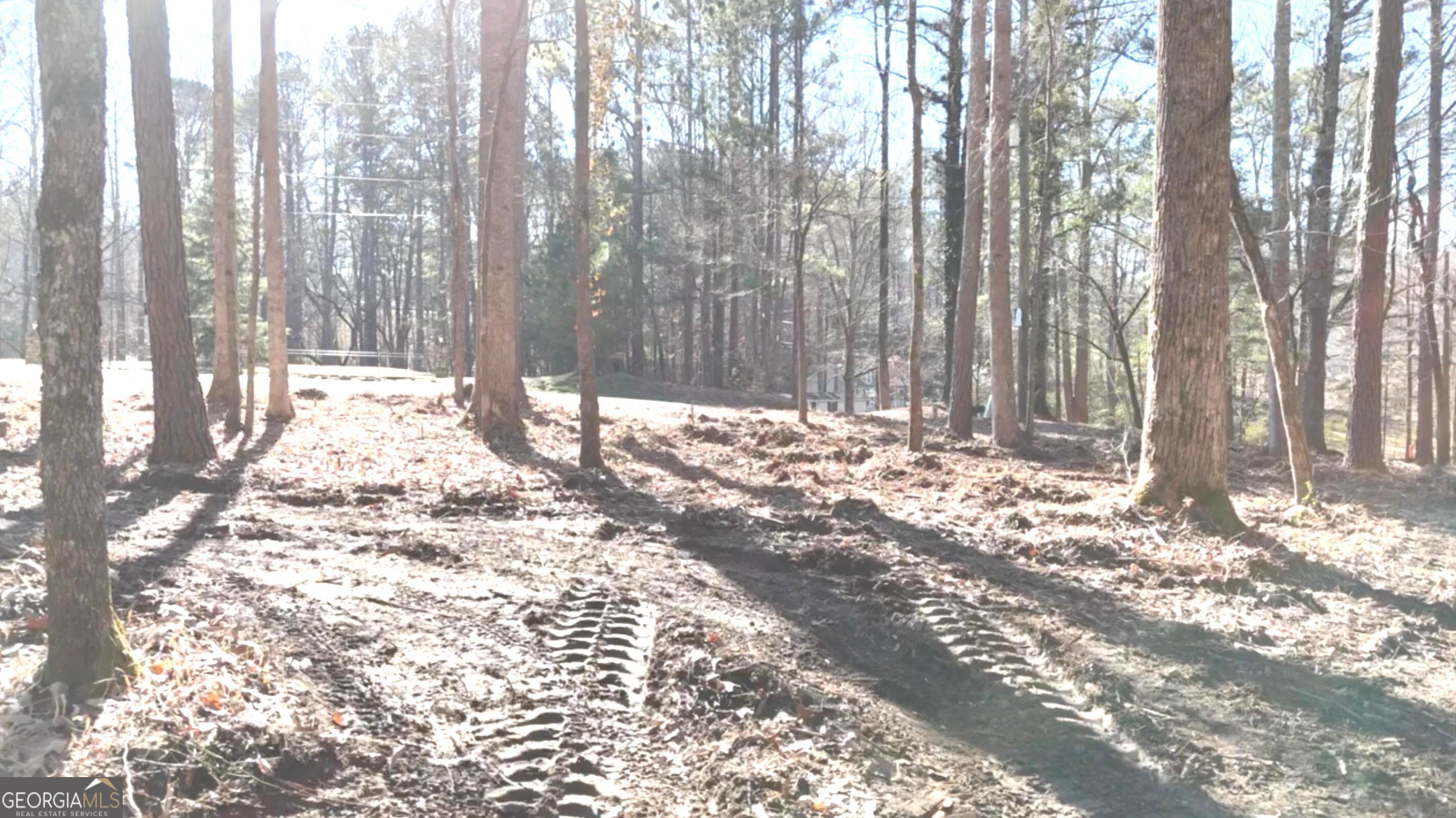 6147 Little Ridge Road, Unit LOT #2 Acworth, GA 30102 - Photo 8 of 29