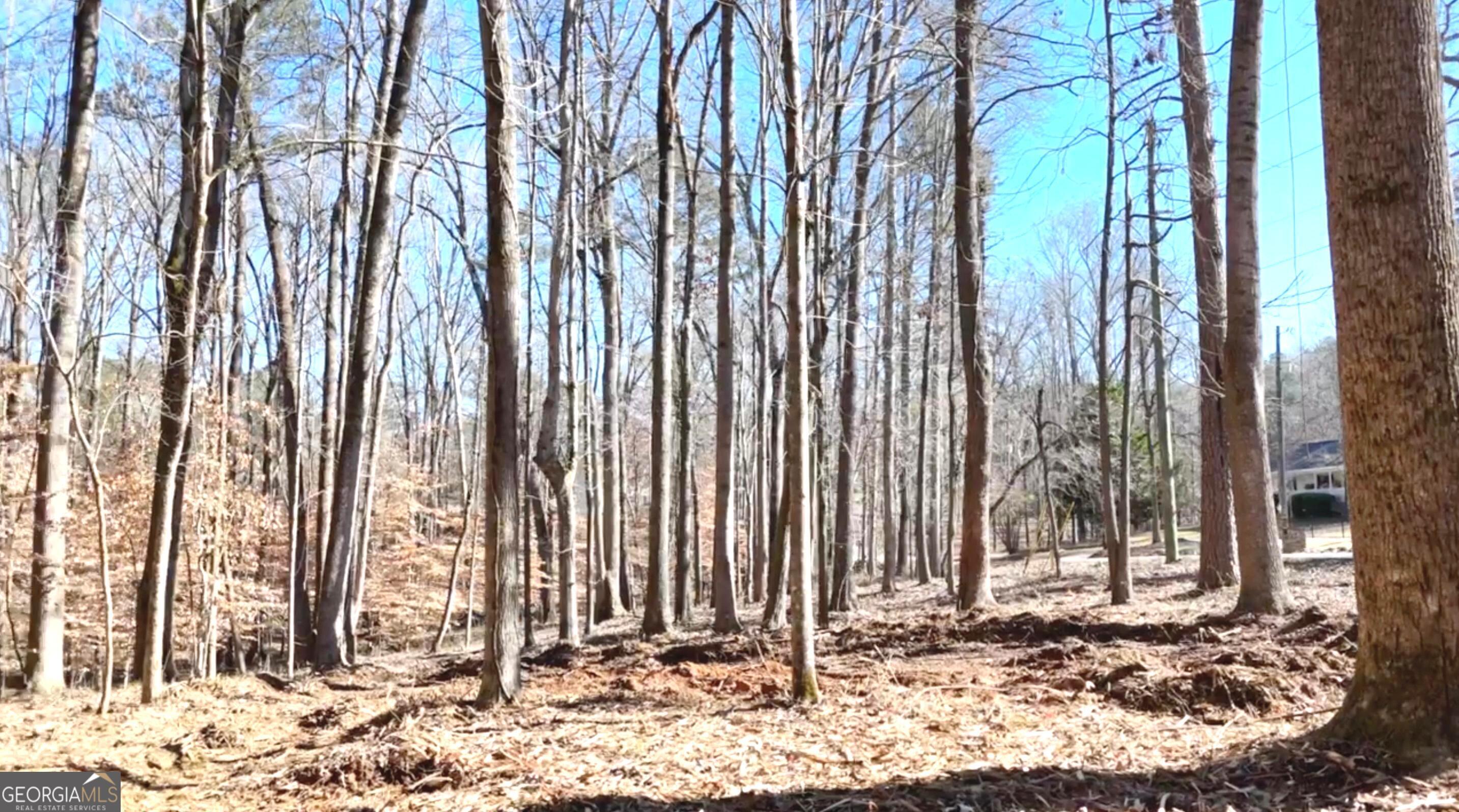 6147 Little Ridge Road, Unit LOT #2 Acworth, GA 30102 - Photo 9 of 29