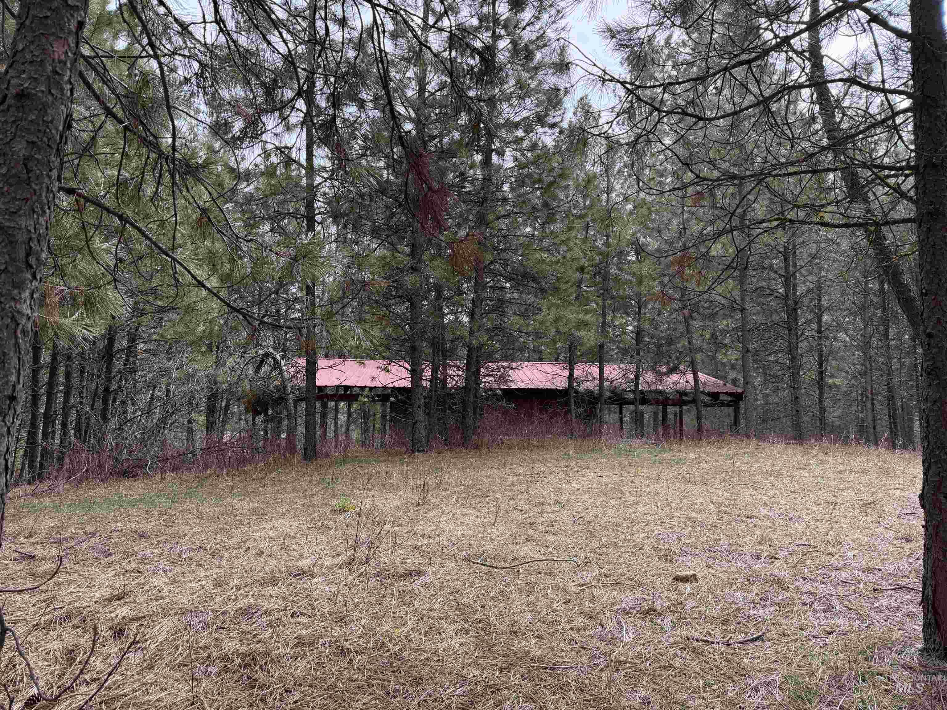 Parcel B South Middlefork Road Garden Valley, ID 83622 - Photo 11 of 12 View of yard