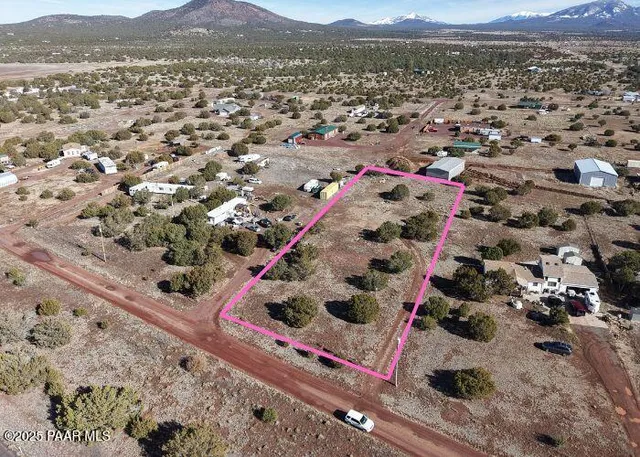 an aerial view of a house with a mountain