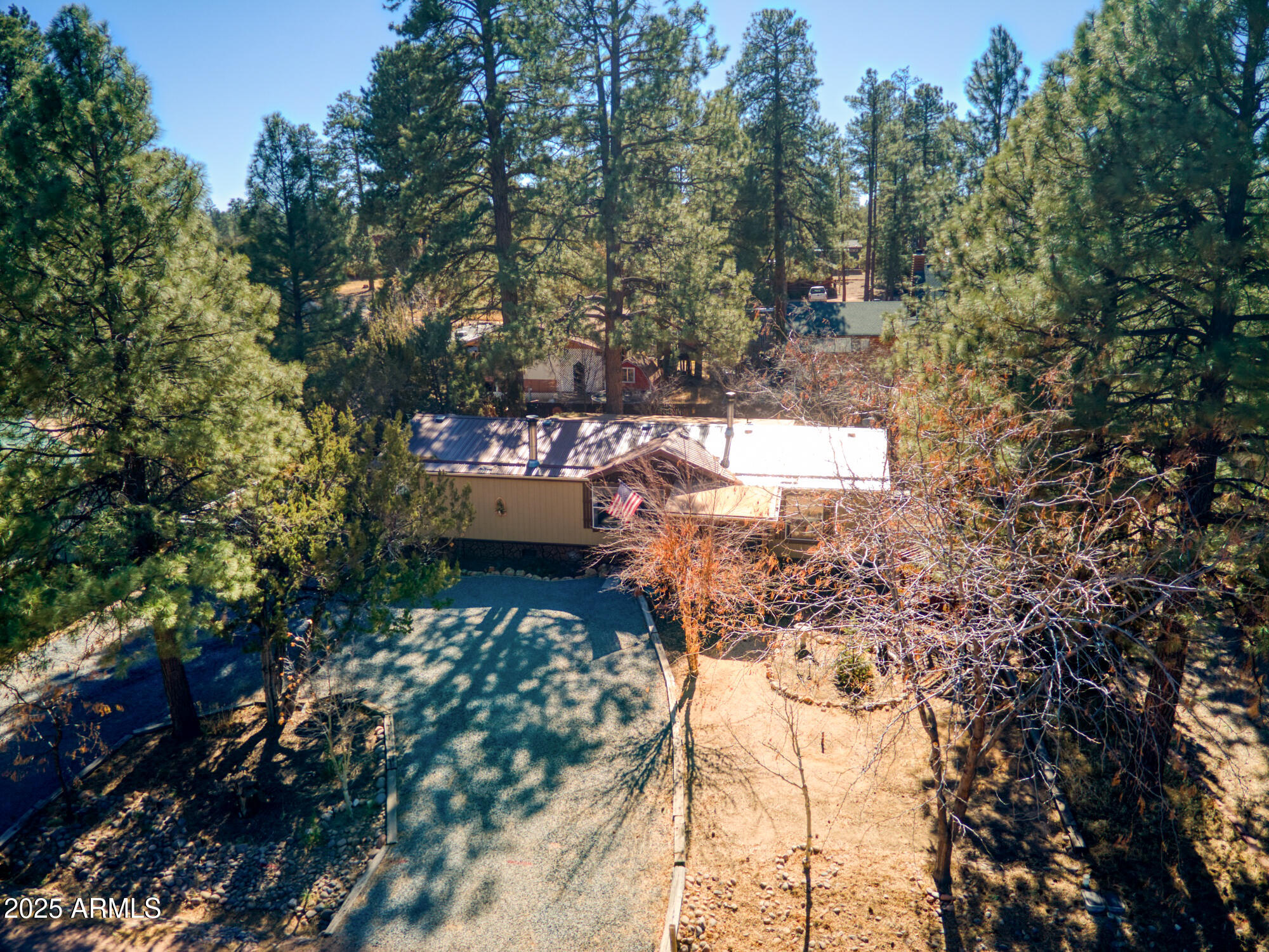 1981 Rustling Pine Drive Overgaard, AZ 85933 - Photo 6 of 29 paxmanphoto_DJI_0316
