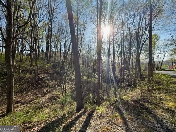 $27,000 | 0 Thunderhead Lane, Sky Valley, GA 30537