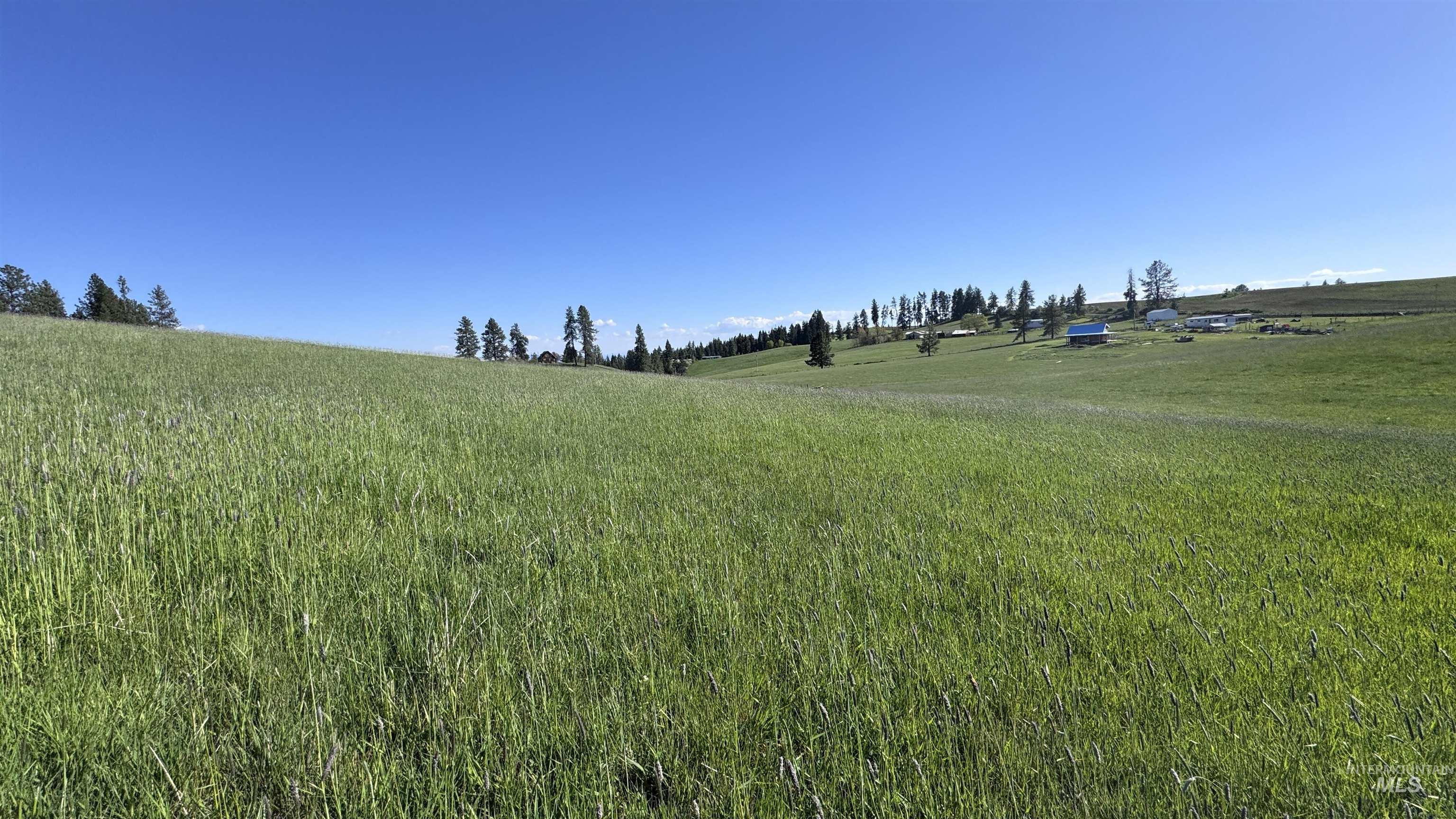 Tbd Harrisburg Road Kamiah, ID 83536 - Photo 35 of 50