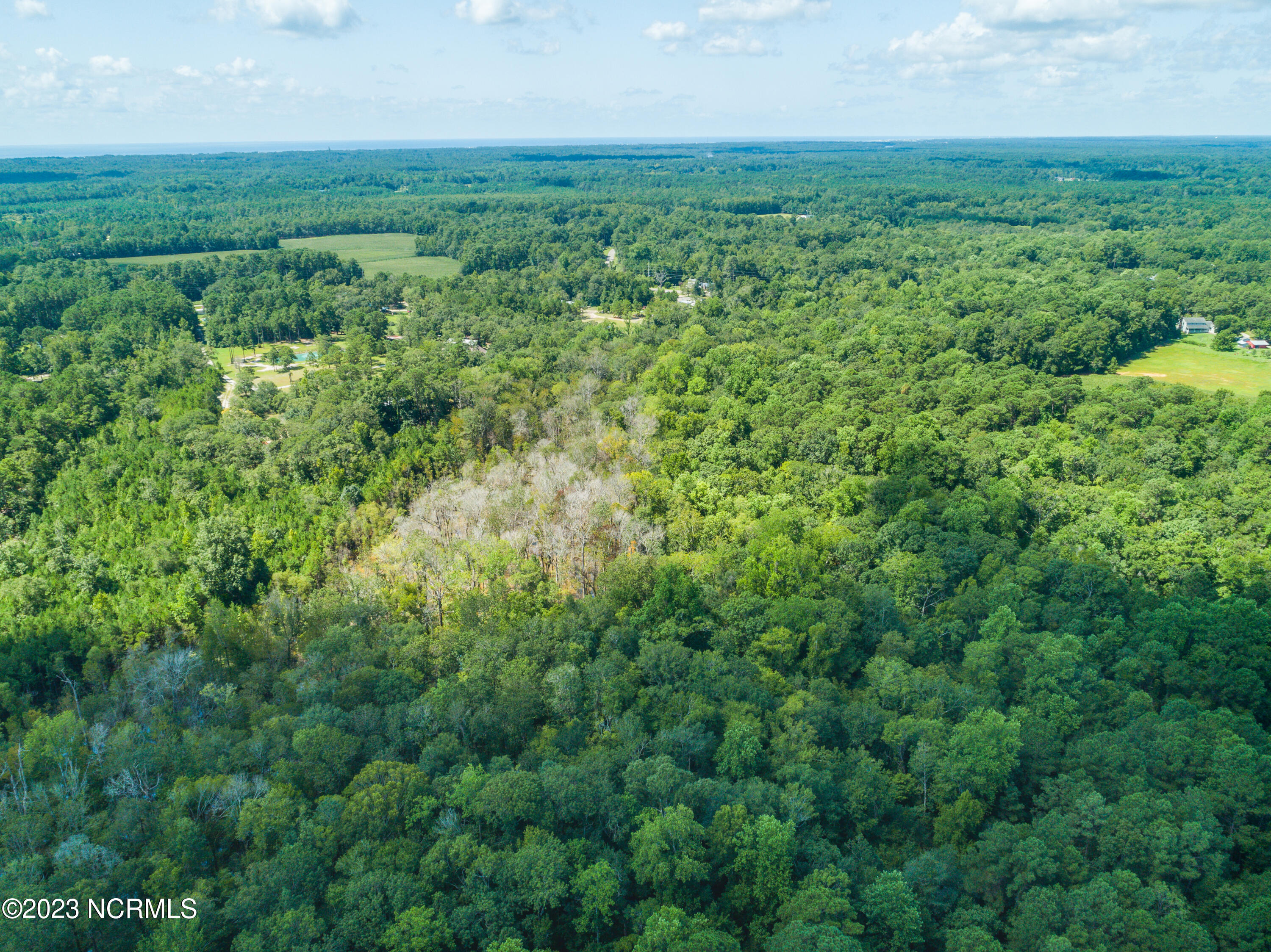 1236 Stanley Road Southwest Supply, NC 28462 - Photo 20 of 23 Parcel Supply NC0020