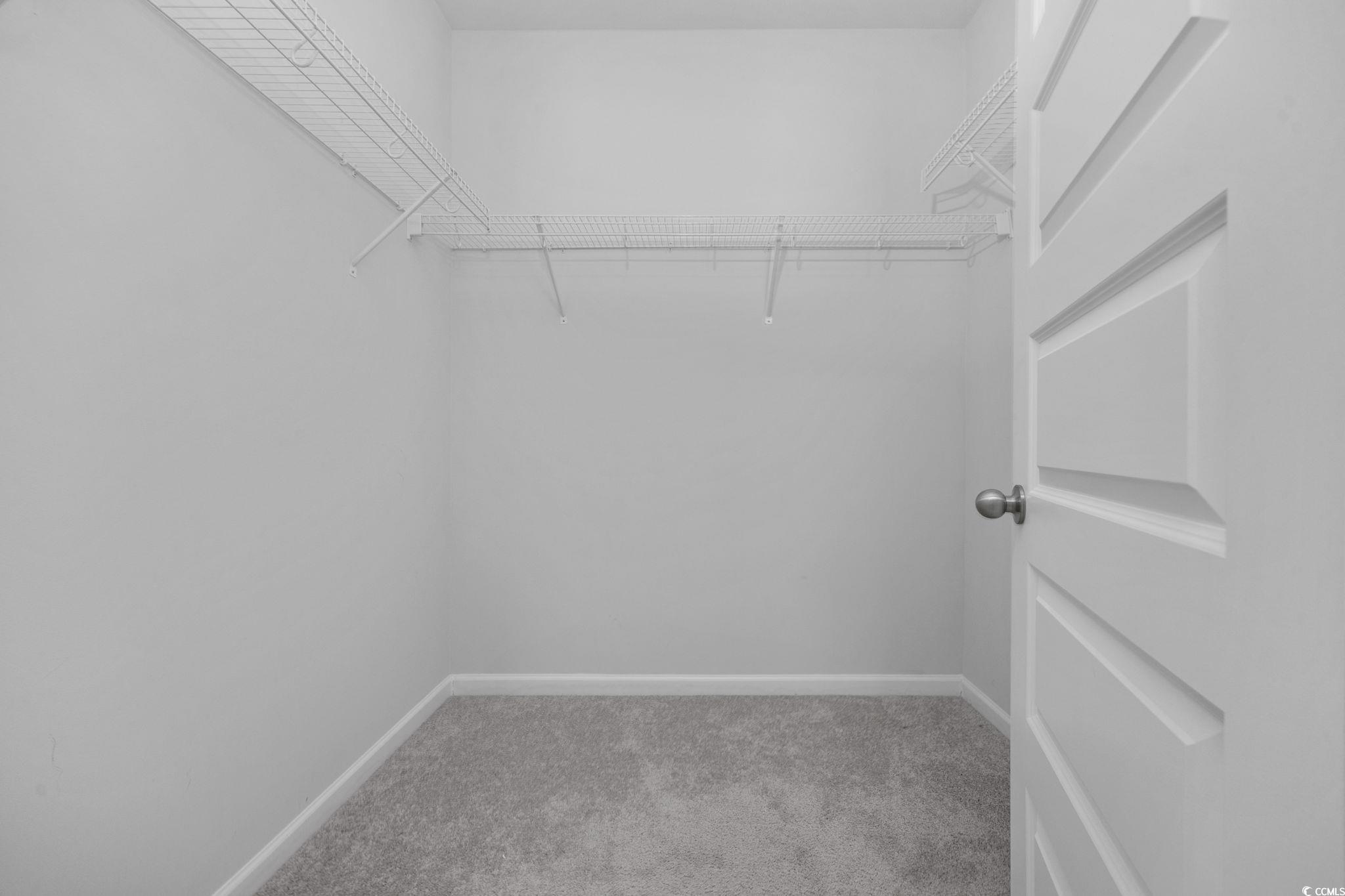 608 Sea Sparrow Street, Unit 608 Myrtle Beach, SC 29588 - Photo 17 of 37 Walk in closet with light colored carpet