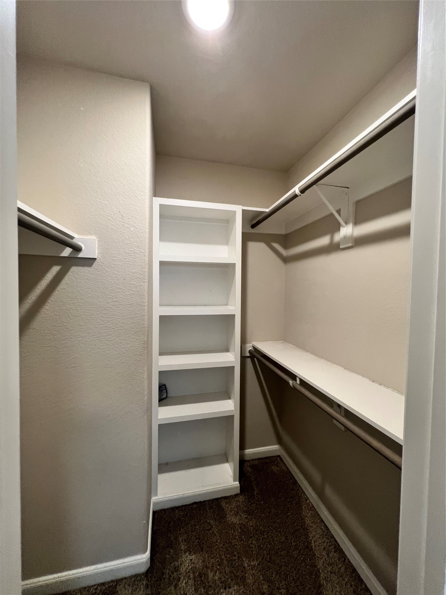 203 Acorn Tree Court Spring, TX 77388 - Photo 23 of 36 Primary closet