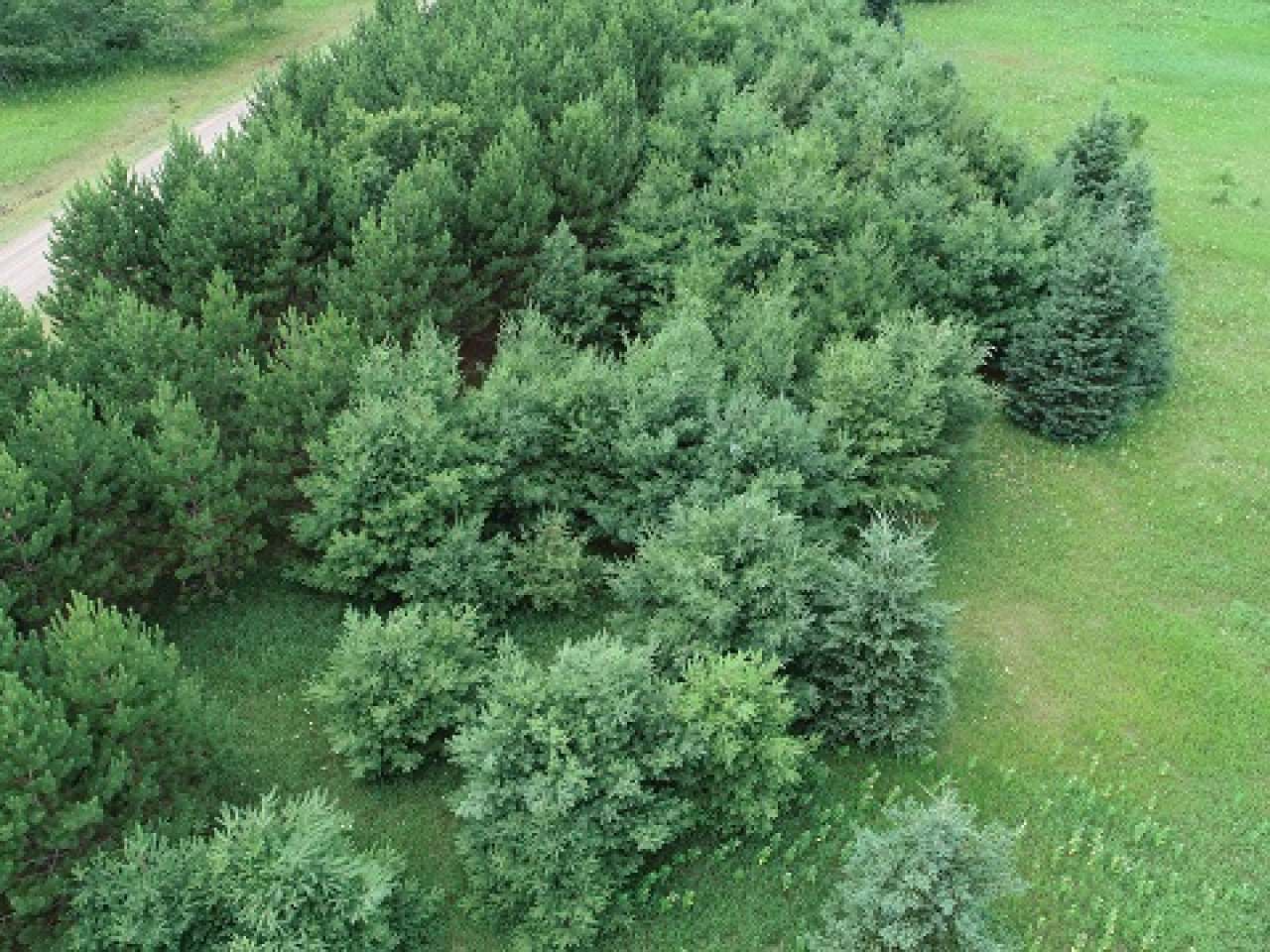 Lot 3 Allyn Road Mercer, WI 54547 - Photo 13 of 21 Gallery Image 13