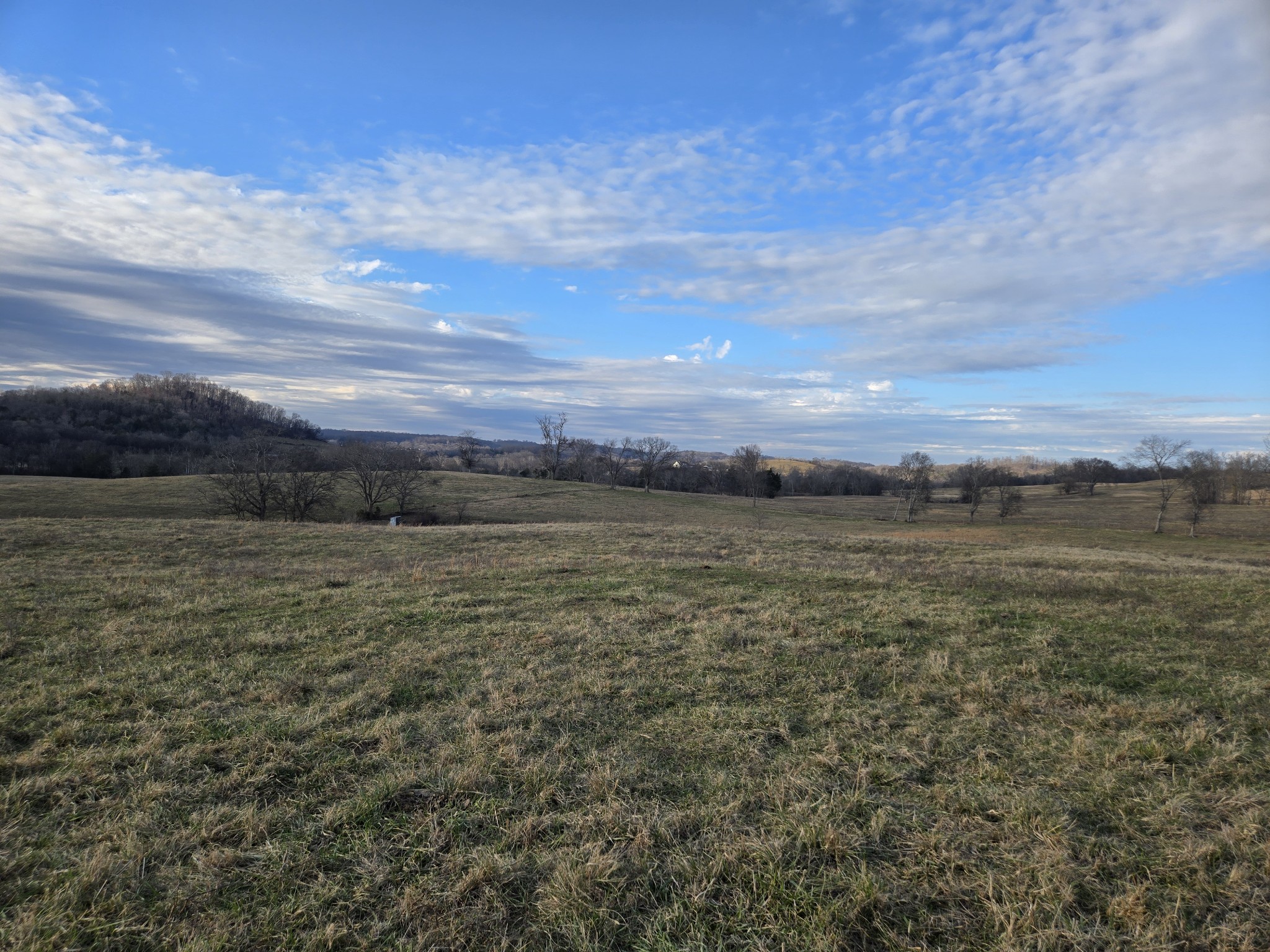 3 Deshea Creek Road Gallatin, TN 37066 - Photo 4 of 13 a view of a field with an ocean
