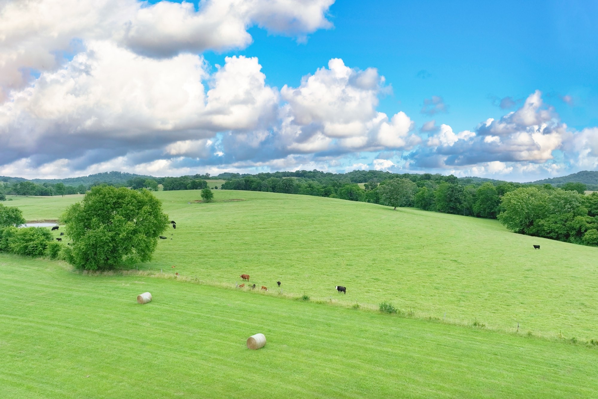 3 Deshea Creek Road Gallatin, TN 37066 - Photo 7 of 13 a view of a golf course with an outdoor space