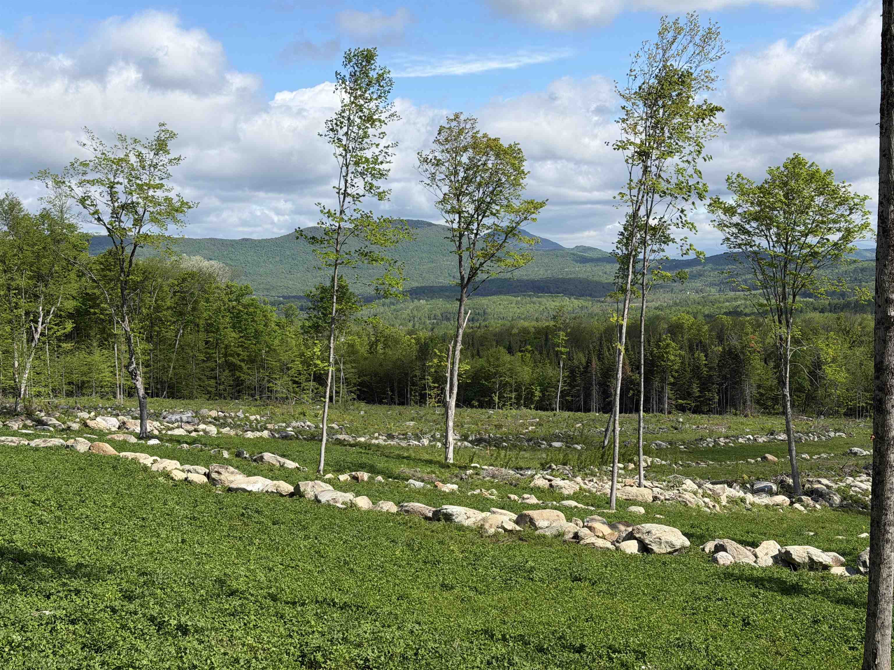 842 Gibbs Road, Unit LOT 1 Newport Town, VT 05857 - Photo 3 of 14