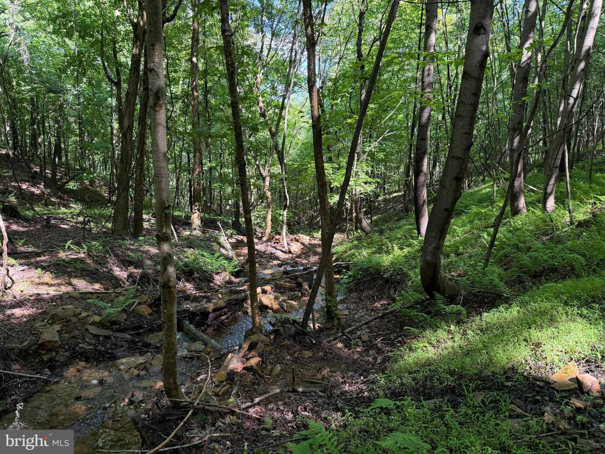 848 Sugar Camp Road Clearfield, PA 16830 - Photo 100 of 118