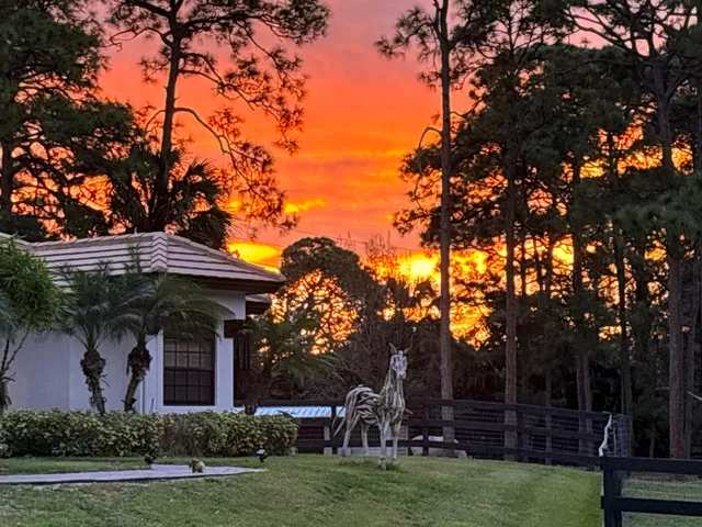 a view of a lake with houses in the background