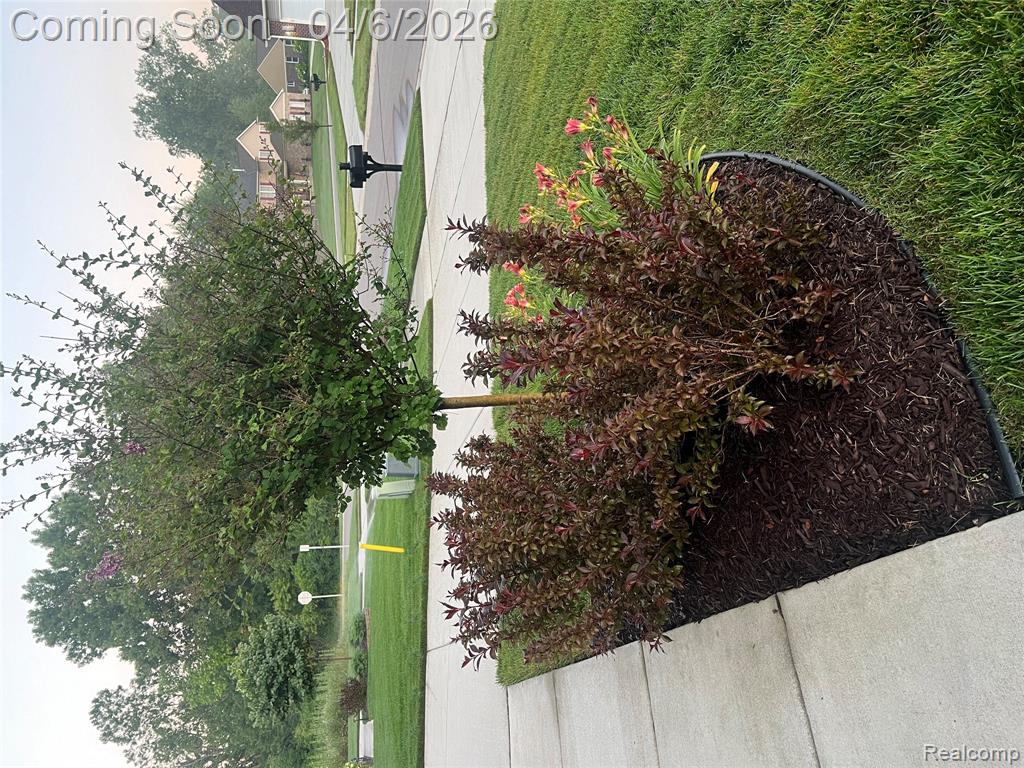 42991 Colonial Road Belleville, MI 48111 - Photo 58 of 64 Gallery Image 58