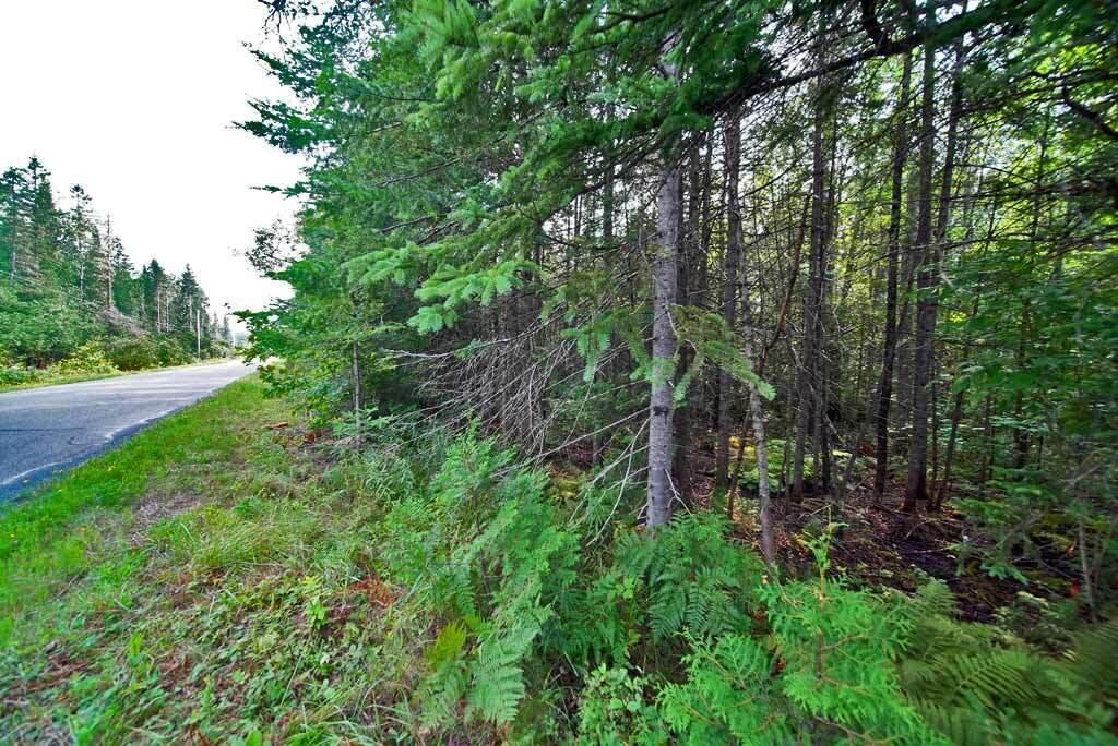 Lot 121 East Road New Sweden, ME 04762 - Photo 17 of 29 build-home-cabin-in-me