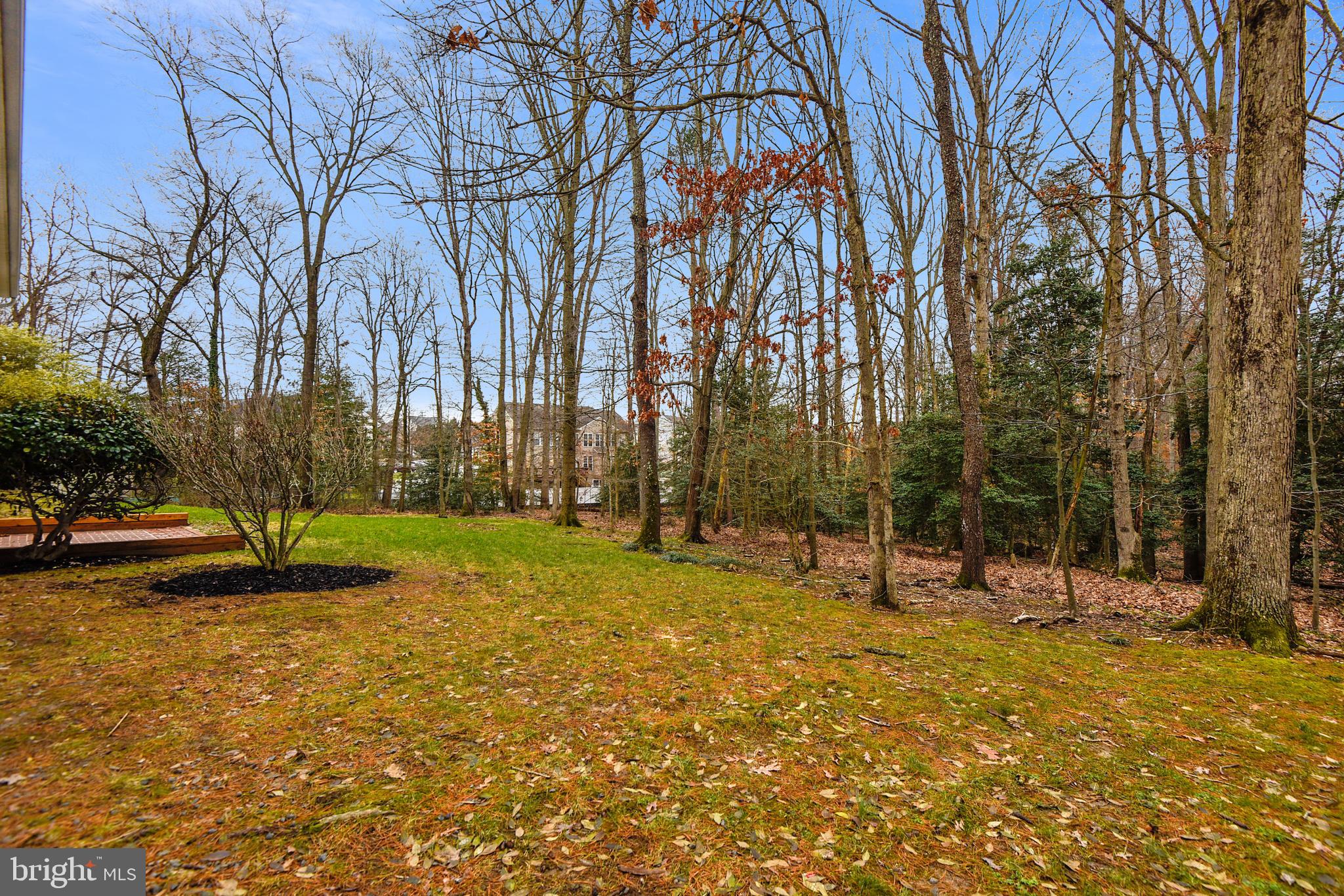 8111 Overton Court Springfield, VA 22153 - Photo 44 of 52 Back yard