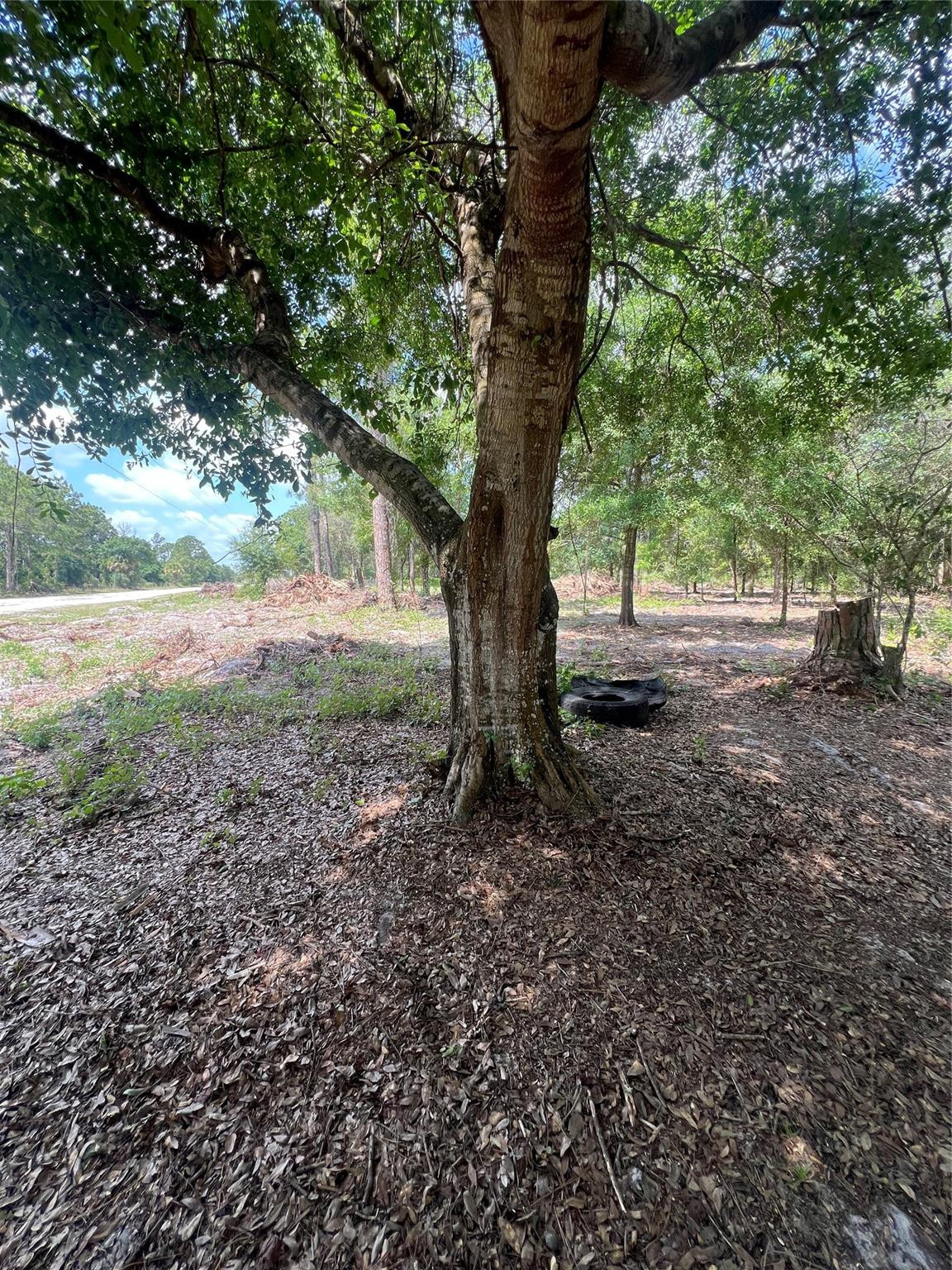 681 N Perimeter Road Clewiston, FL 33440 - Photo 3 of 5 Photo 3