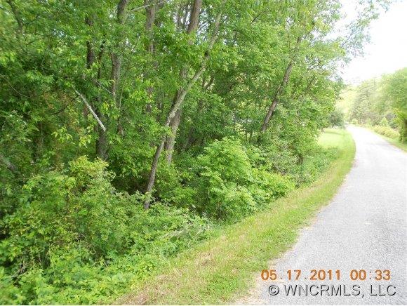 0 Rolling Hills Road Canton, NC 28716 - Photo 1 of 3