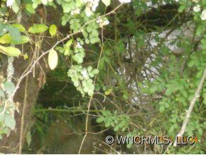 0 Rolling Hills Road Canton, NC 28716 - Photo 2 of 3