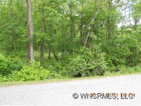 0 Rolling Hills Road Canton, NC 28716 - Photo 3 of 3