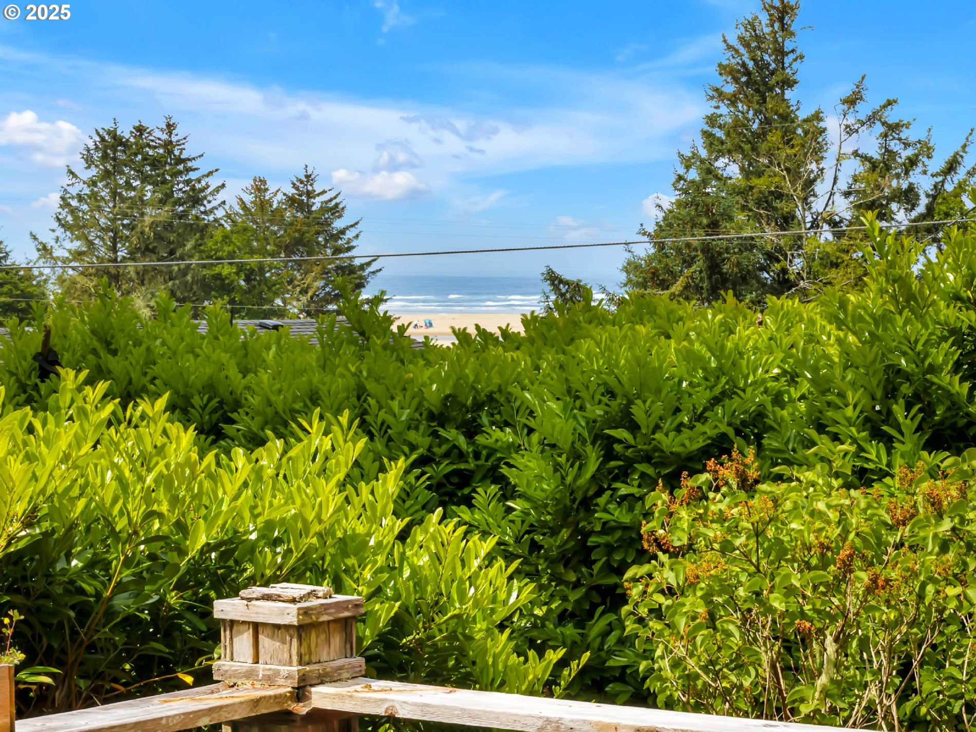 548 Beech Street Cannon Beach, OR 97110 - Photo 6 of 15