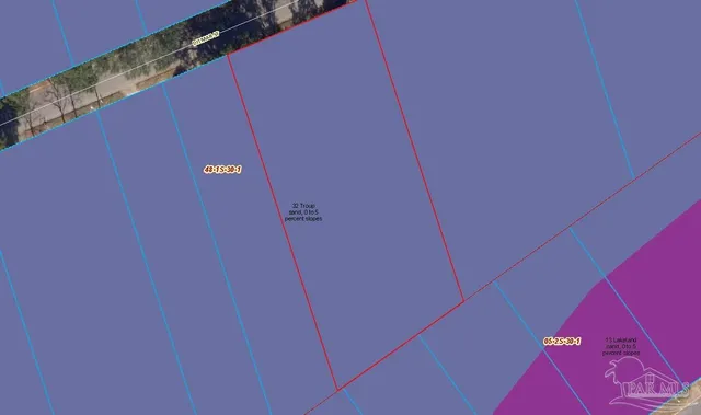 a close up of a plant