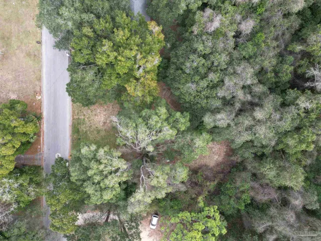 a plant that is in a garden