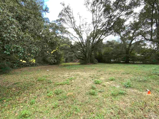 a view of outdoor space with deck and trees