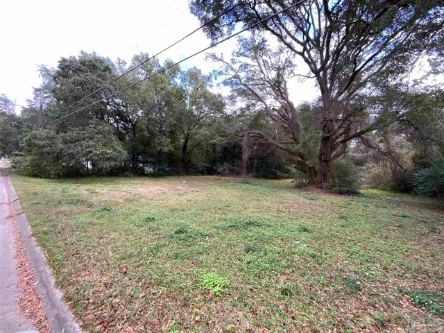 a view of a yard with a tree