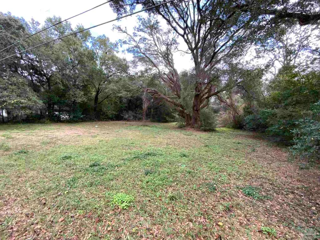 a view of a field with trees in front of it