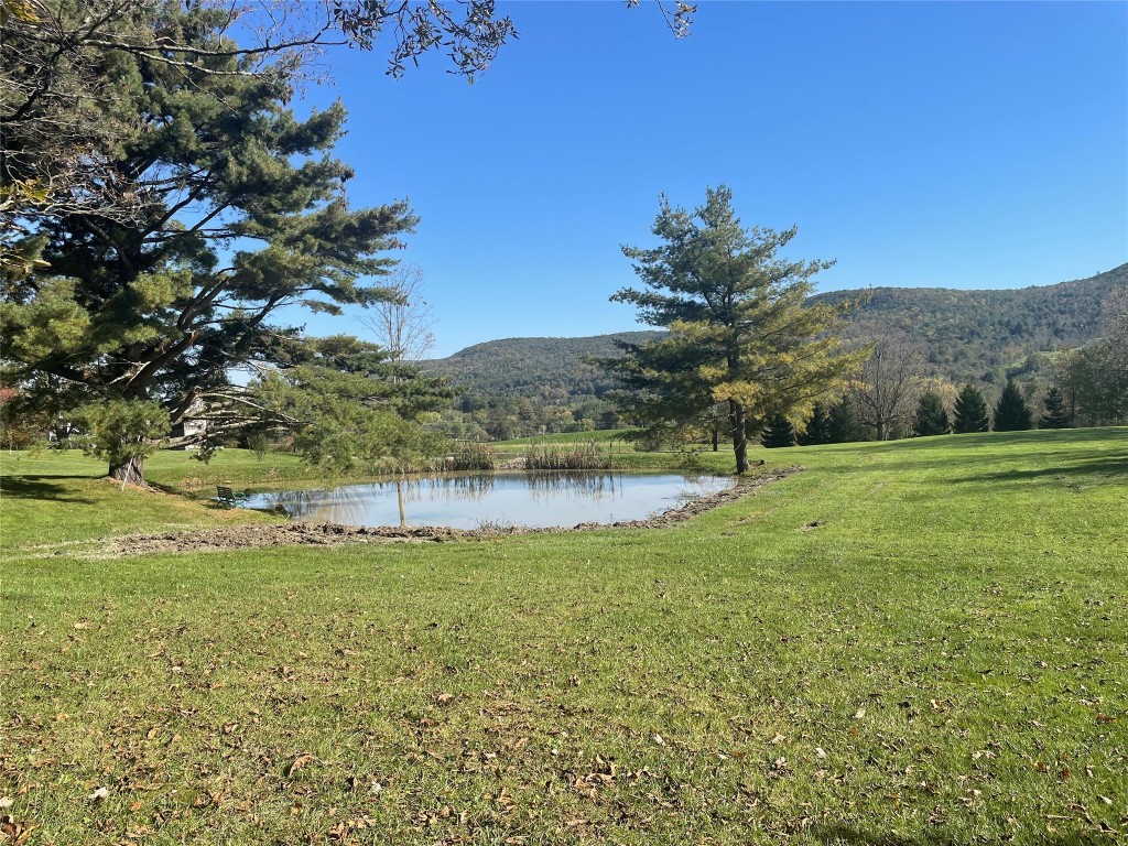 239 Worden Road Windsor, NY 13865 - Photo 1 of 8 Gallery Image 1