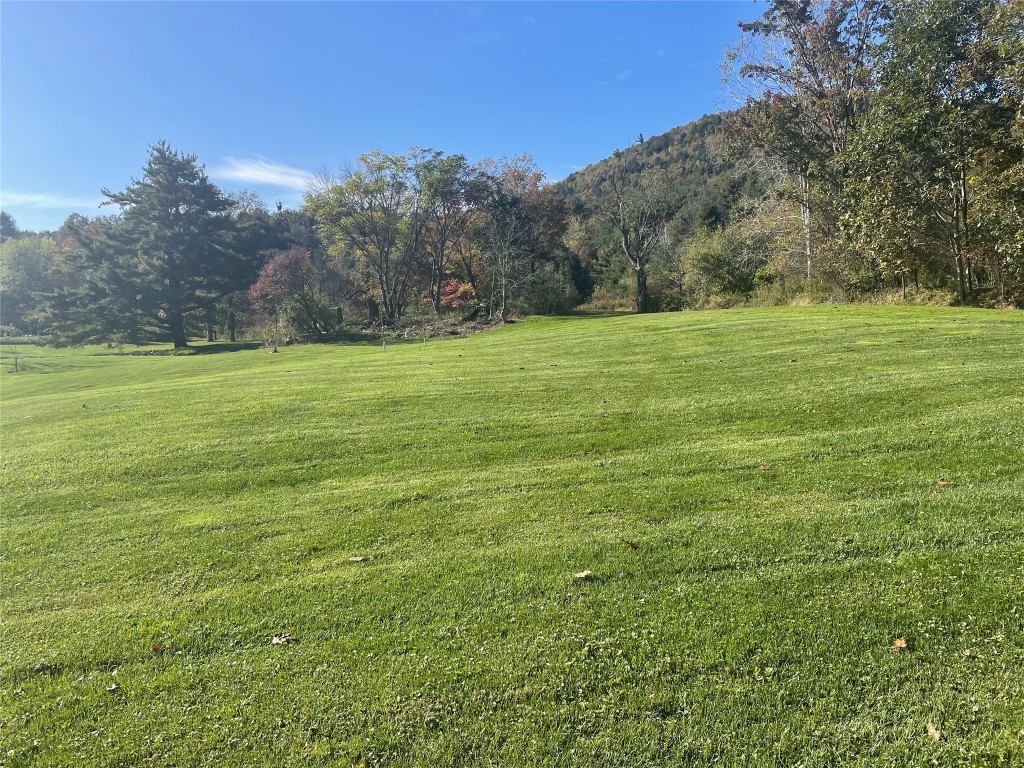 239 Worden Road Windsor, NY 13865 - Photo 3 of 8 Gallery Image 3