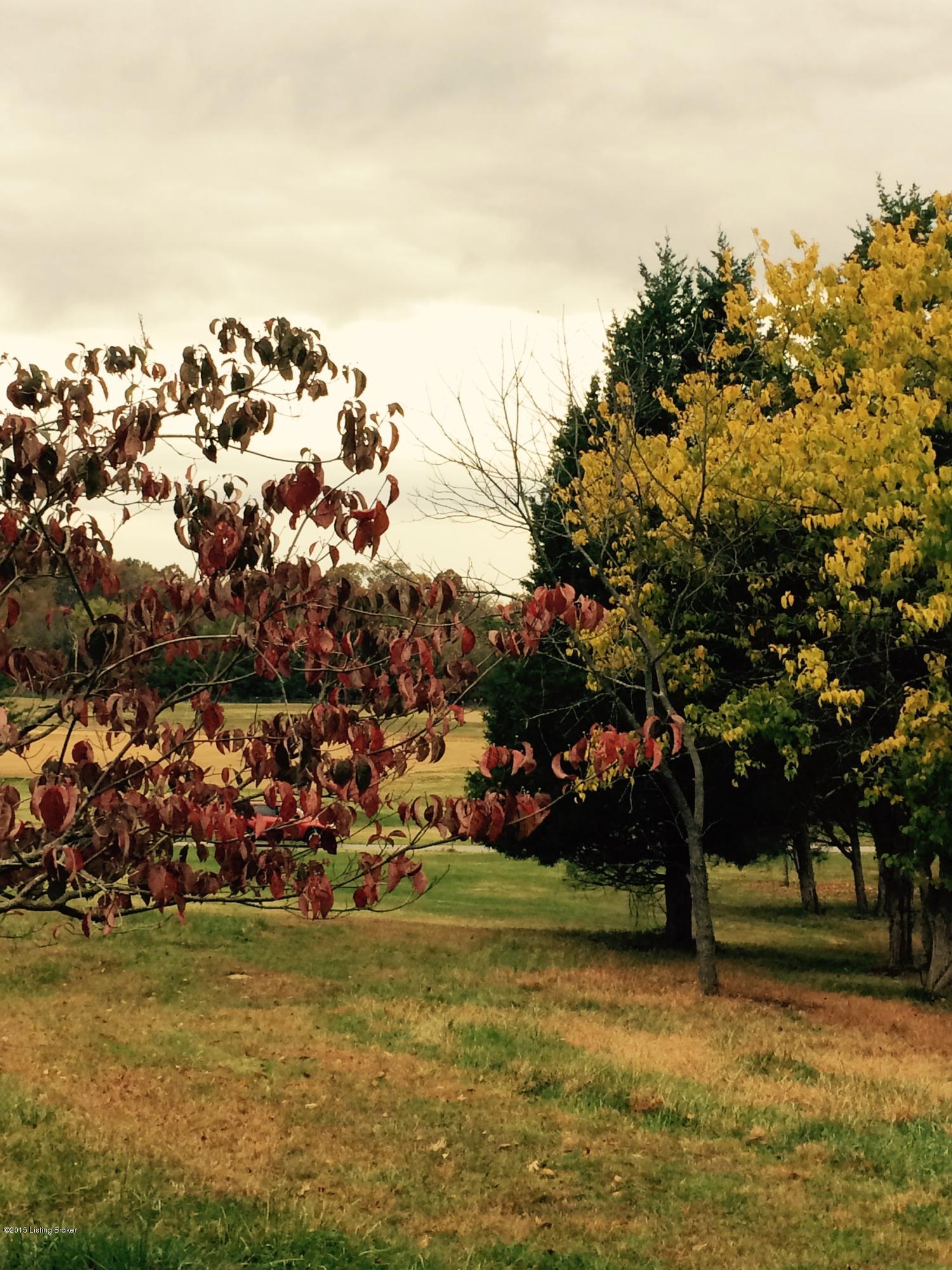 15902 Piercy Mill Road Louisville, KY 40245 - Photo 19 of 20 Fall Photo 1