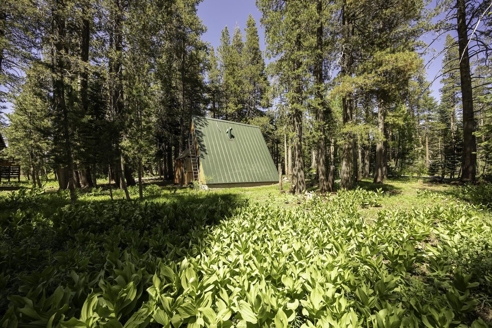 2051 Soda Springs Road Soda Springs, CA 95728 - Photo 4 of 10