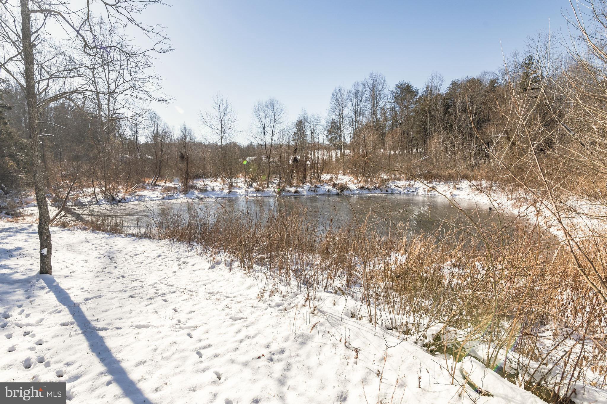 11053 Old Stillhouse Road Boston, VA 22713 - Photo 25 of 29 Spring Fed Pond