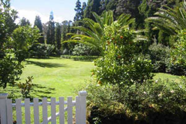 19-4023 Old Volcano Road Volcano, HI 96785 - Photo 13 of 17 a yard with yellow house