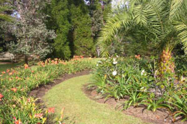 19-4023 Old Volcano Road Volcano, HI 96785 - Photo 16 of 17 a view of a garden