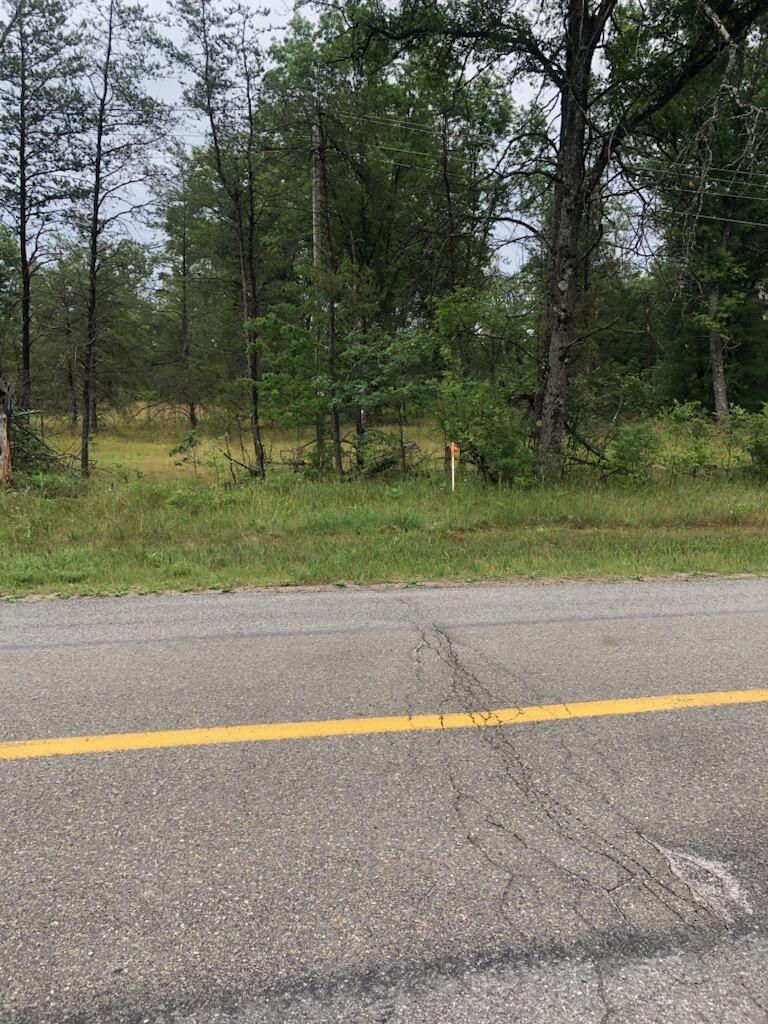 Vl South Forman Road Idlewild, MI 49642 - Photo 2 of 11 IMG_0770