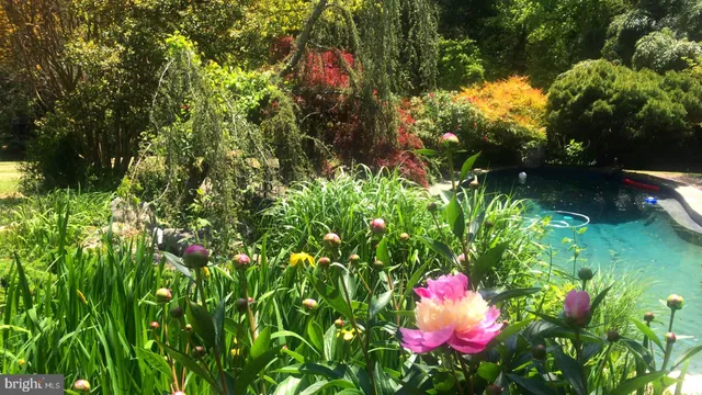 $8,500 | 10809 Nicholsridge Road, Great Falls, VA 22066