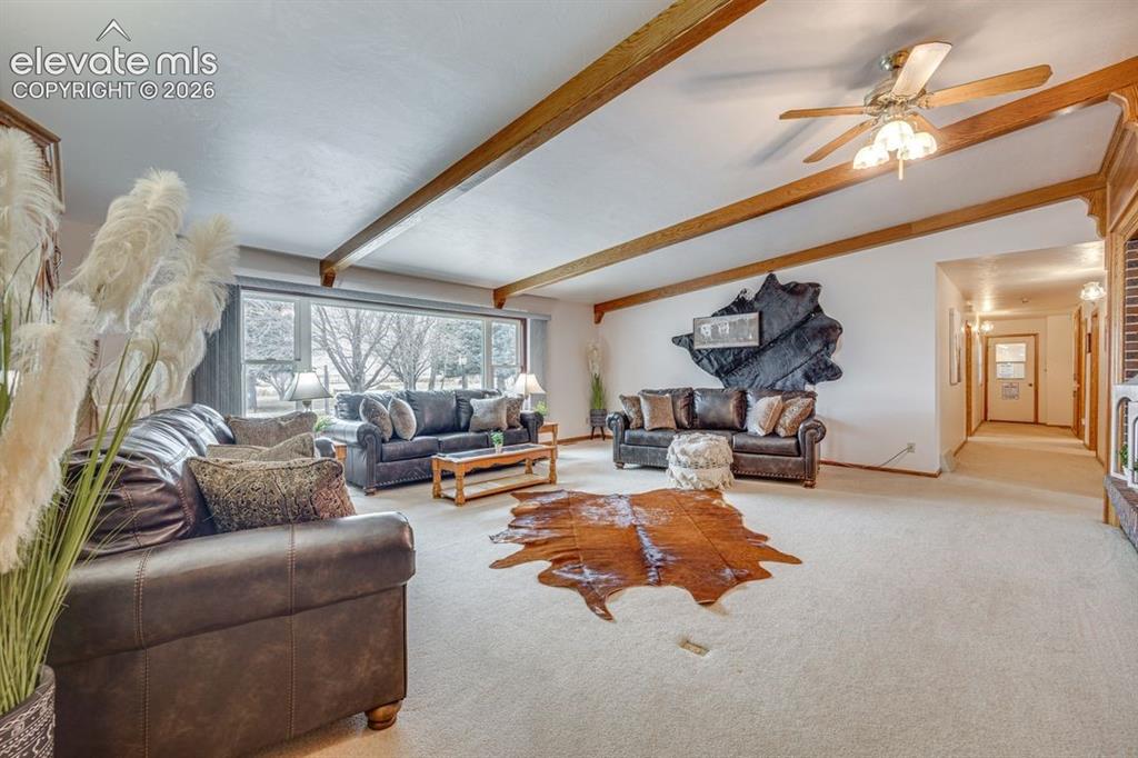 24760 Jones Road Calhan, CO 80808 - Photo 6 of 20 Spacious living room