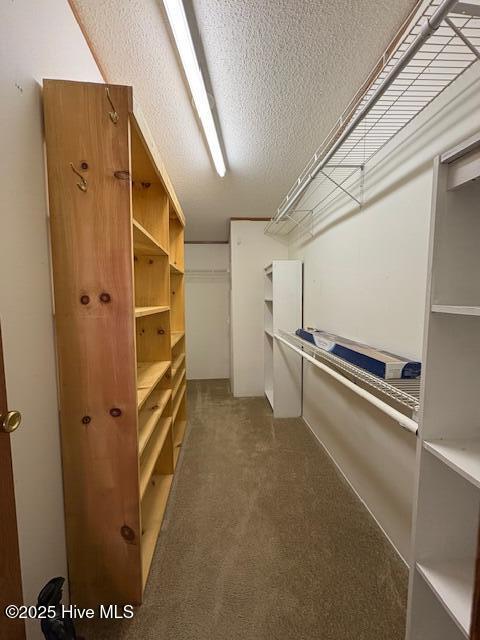 7040 Great Swamp Loop Lucama, NC 27851 - Photo 11 of 26 IMG_1739